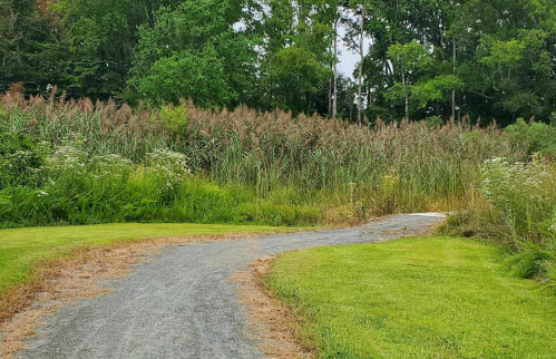 A winding gravel path leads through lush greenery and tall grass under a cloudy sky.