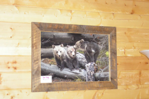 A framed photo of three bears sitting on a log, set against a wooden wall.