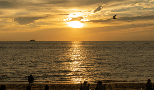A serene beach scene at sunset, with silhouettes of people and a bird flying over the shimmering water.