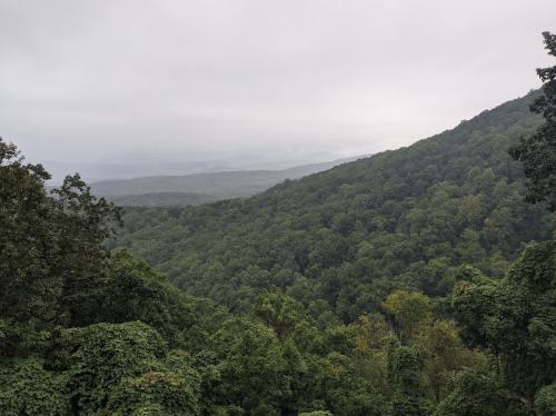A misty landscape of rolling green hills and dense trees under a cloudy sky.
