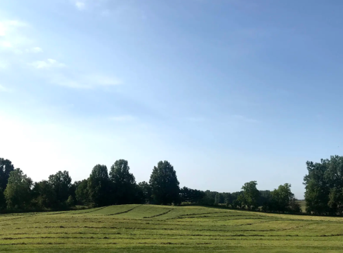 A serene landscape featuring green fields and trees under a clear blue sky.