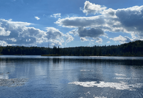 A serene lake surrounded by trees under a blue sky with fluffy clouds, reflecting on the water's surface.