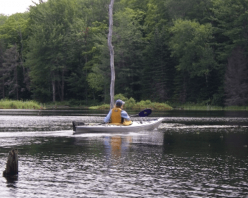 A person in a kayak paddles on a calm lake surrounded by lush green trees.