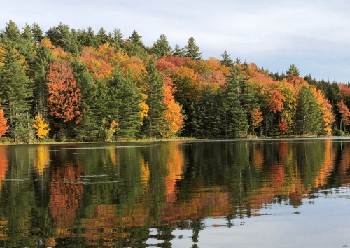 A serene lake reflecting vibrant autumn foliage of red, orange, and yellow trees along the shoreline.