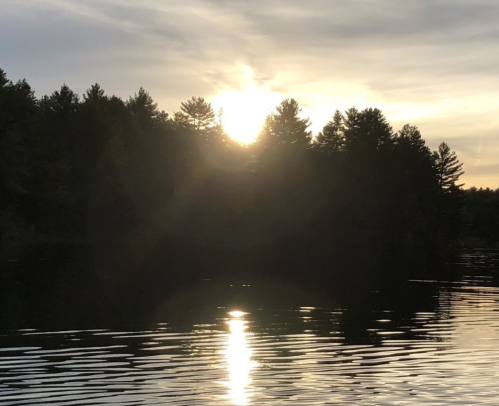 Sunset over a calm lake, with silhouettes of trees reflecting on the water's surface.