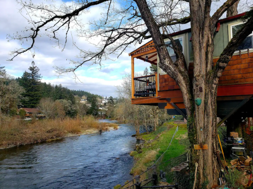 A cozy treehouse overlooking a river, surrounded by trees and grassy banks under a partly cloudy sky.