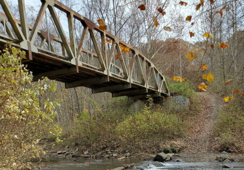 A wooden bridge spans a creek, surrounded by autumn foliage and trees, with fallen leaves on the ground.