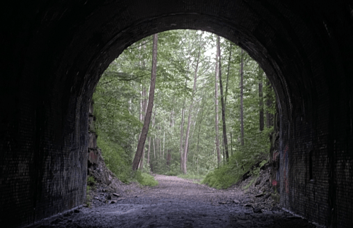 View from inside a dark tunnel, leading to a bright, green forest path with trees lining the sides.