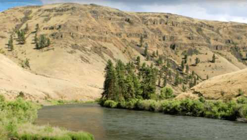 A serene river flows through a dry landscape with rolling hills and scattered trees under a clear blue sky.