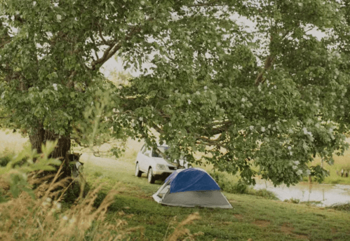 A blue and gray tent set up under a large tree, with a car parked nearby in a grassy area.