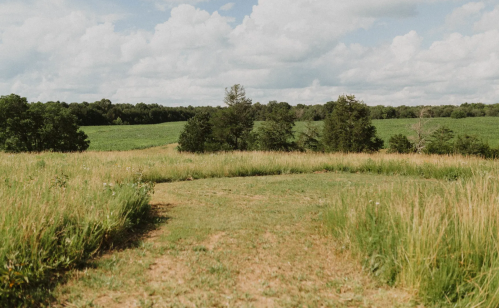 A grassy path leads through a field, surrounded by trees and under a partly cloudy sky.