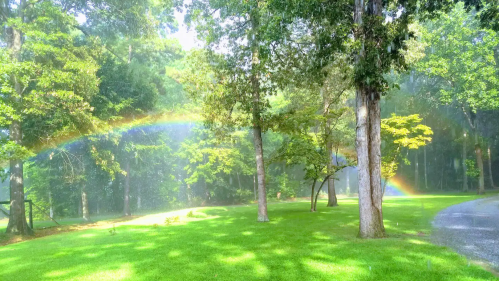 A vibrant rainbow arches over a lush green lawn surrounded by trees, with mist creating a serene atmosphere.