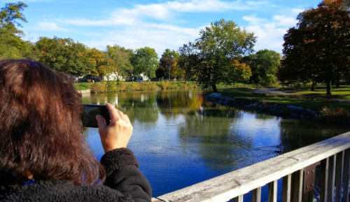 A person takes a photo of a serene pond surrounded by trees with autumn foliage on a sunny day.