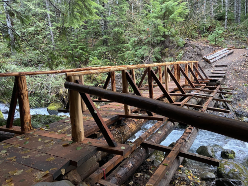 A rustic wooden bridge spans a flowing creek, surrounded by lush green trees and fallen leaves.