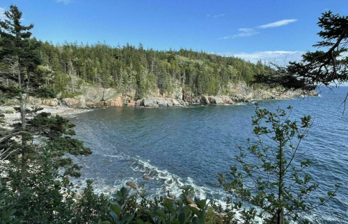 A serene coastal view with rocky shores, lush greenery, and calm blue waters under a clear sky.