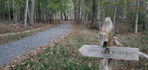 A wooden sign points to "Compass Harbor" along a gravel path in a wooded area with trees and fallen leaves.