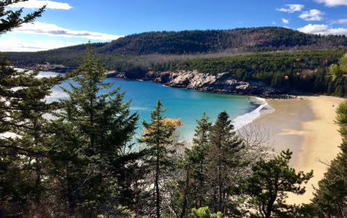 A serene beach with turquoise water, surrounded by green trees and hills under a clear blue sky.