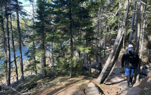 A person walks along a forested trail beside a calm lake, surrounded by tall trees and rocky terrain.