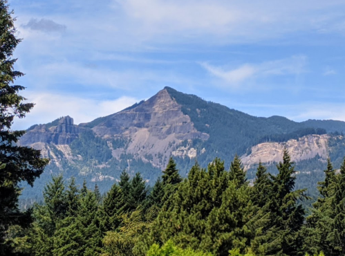 A scenic view of a mountain peak surrounded by lush green trees under a clear blue sky.