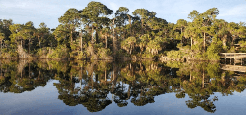 A serene lake reflecting lush trees and a wooden walkway under a clear sky.