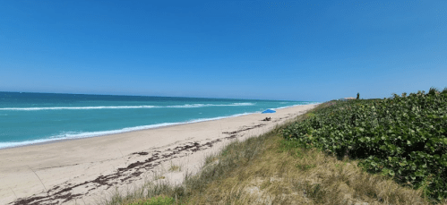 A serene beach scene with gentle waves, a blue sky, and a lone blue umbrella on the sandy shore.