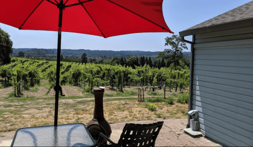 A red umbrella shades a patio table overlooking a vineyard and distant trees under a clear blue sky.