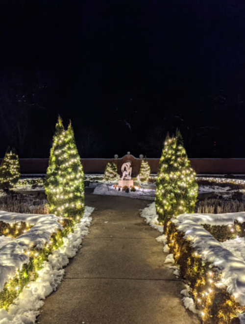 A snowy garden path lined with lit trees, leading to a central display, all illuminated at night.