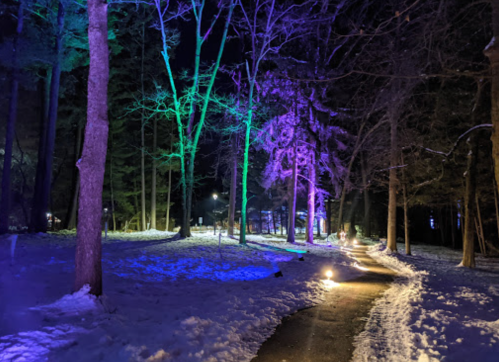 A snowy path through a forest at night, illuminated by colorful lights in shades of green and purple.