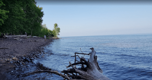 A serene lakeside view with a rocky shore, driftwood, and trees lining the water's edge under a clear sky.