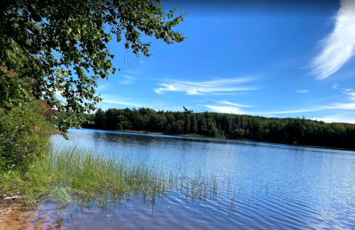 A serene lake surrounded by lush greenery and blue skies, with gentle waves lapping at the shore.