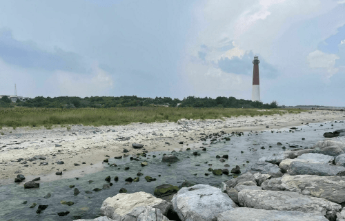 A rocky shoreline with a lighthouse in the background, surrounded by greenery and a cloudy sky.