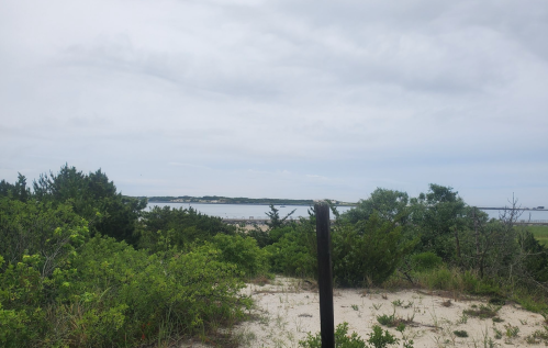 A serene view of a beach with gentle waves, surrounded by greenery and a cloudy sky.