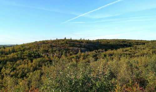 A scenic view of rolling hills covered in lush green trees under a clear blue sky with wispy clouds.