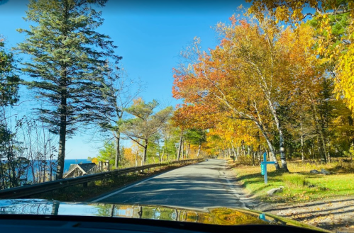 A scenic autumn road lined with colorful trees under a clear blue sky, with a glimpse of water in the background.