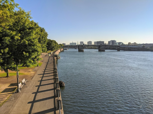 A serene riverside view with a walkway, trees, and a bridge in the distance under a clear blue sky.