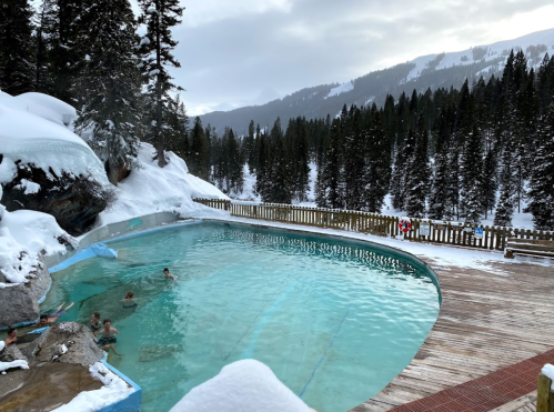 A scenic outdoor hot spring surrounded by snow-covered trees and mountains, with people enjoying the warm water.