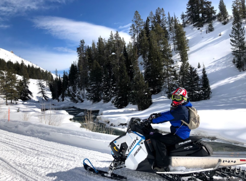 A person on a snowmobile rides through a snowy landscape with trees and a stream in the background.