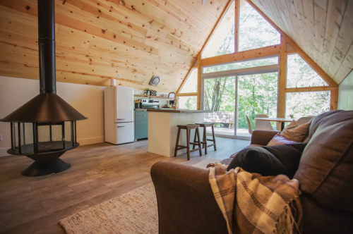 Cozy cabin interior with a wooden ceiling, modern kitchen, and a fireplace, surrounded by large windows and greenery.