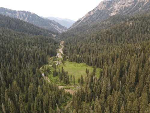 Aerial view of a lush green valley surrounded by mountains and dense forests, with a winding river flowing through.