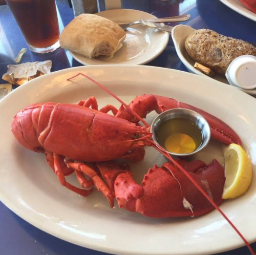 A whole cooked lobster on a plate with melted butter, a lemon wedge, and a side of bread.