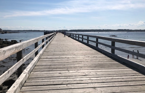 A wooden pier extends over calm water, with people walking and playing along the shore under a clear blue sky.