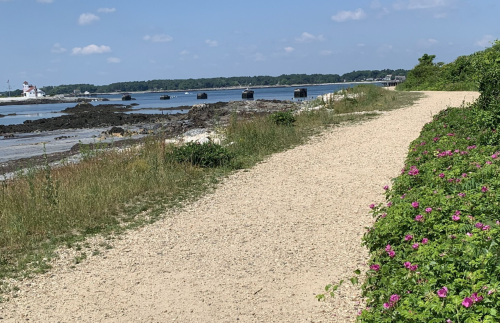 A sandy path lined with green plants and pink flowers, leading to a calm waterfront with rocks and distant buildings.