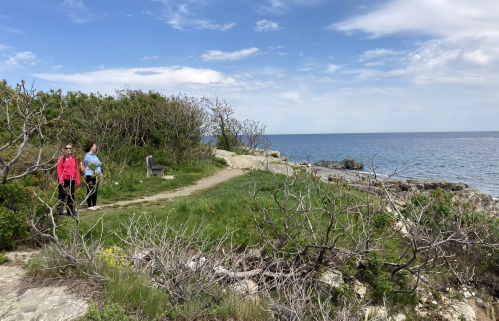 Two people walk along a coastal path with greenery and a view of the ocean under a partly cloudy sky.