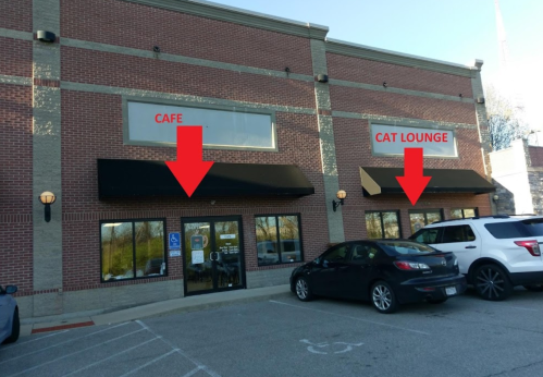 Exterior view of a building with two entrances labeled "Cafe" and "Cat Lounge," with parked cars in front.