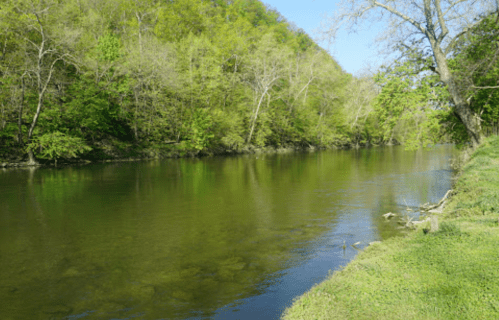 A serene river flows through a lush green landscape, surrounded by trees and reflecting the clear blue sky.