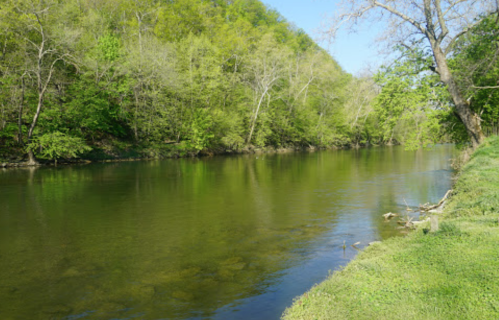 A serene river flows through a lush green landscape, surrounded by trees and reflecting the clear blue sky.