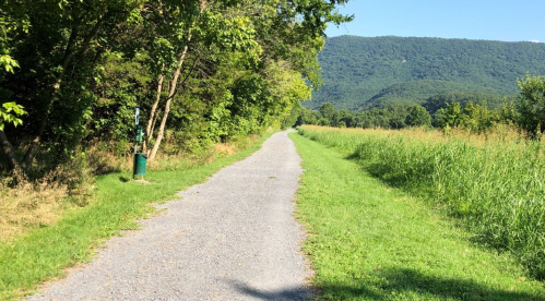 A gravel path lined with greenery, leading towards mountains under a clear blue sky.