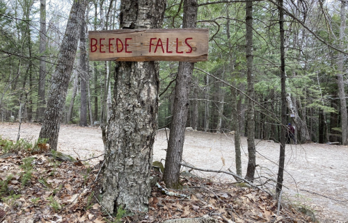 Wooden sign reading "Beede Falls" attached to a tree in a forested area with scattered leaves on the ground.