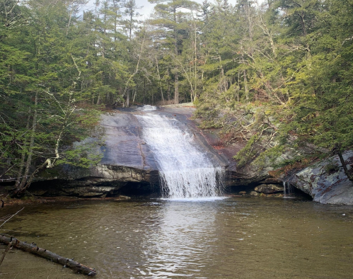 A serene waterfall cascades over smooth rocks into a calm pool, surrounded by lush green trees.