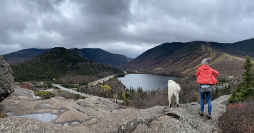A person in a red jacket stands on a rocky overlook with a dog, gazing at a lake surrounded by mountains under cloudy skies.